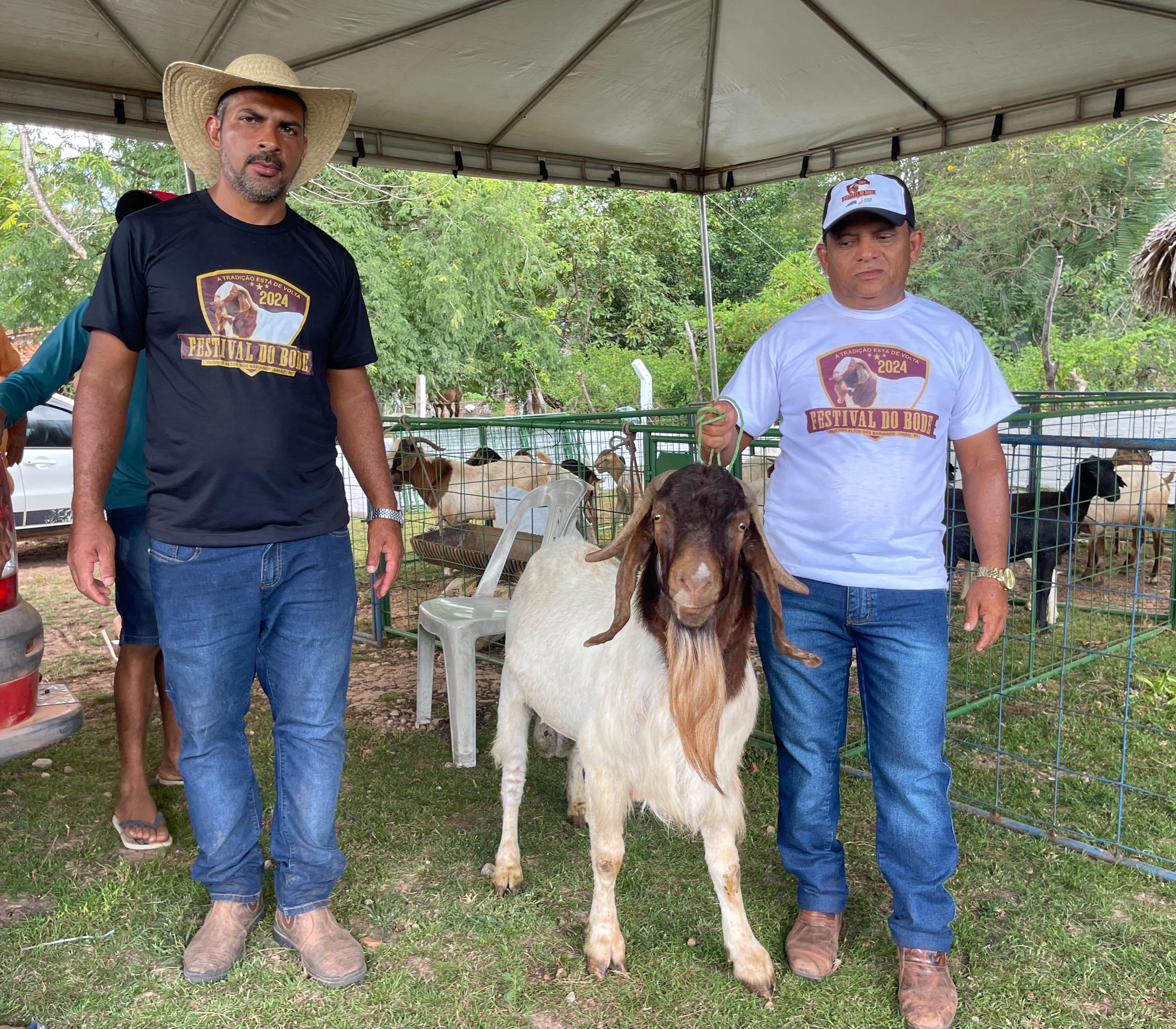 Festival do Bode celebra o sucesso da ovinocaprinocultura na região com apoio da ATeG do Senar Piauí