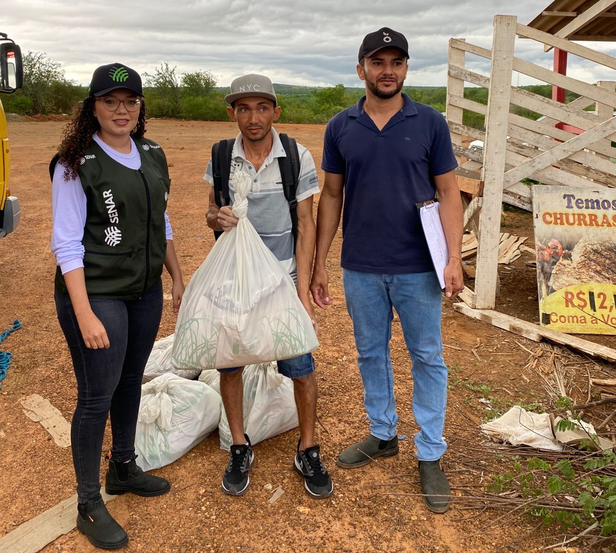Palma forrageira fortalece produção e reduz impactos da seca no semiárido