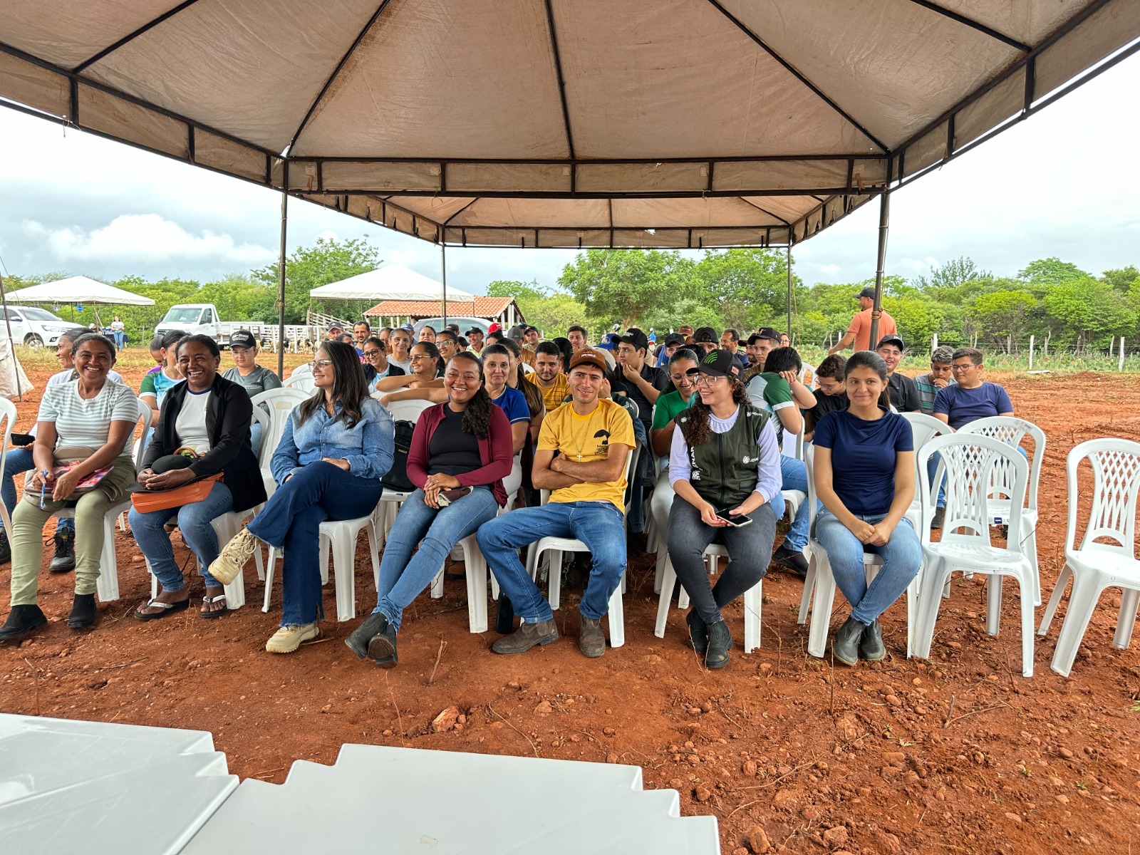 Conhecimento e tecnologia fortalecem a ovinocultura em Betânia do Piauí durante Dia de Campo do Senar