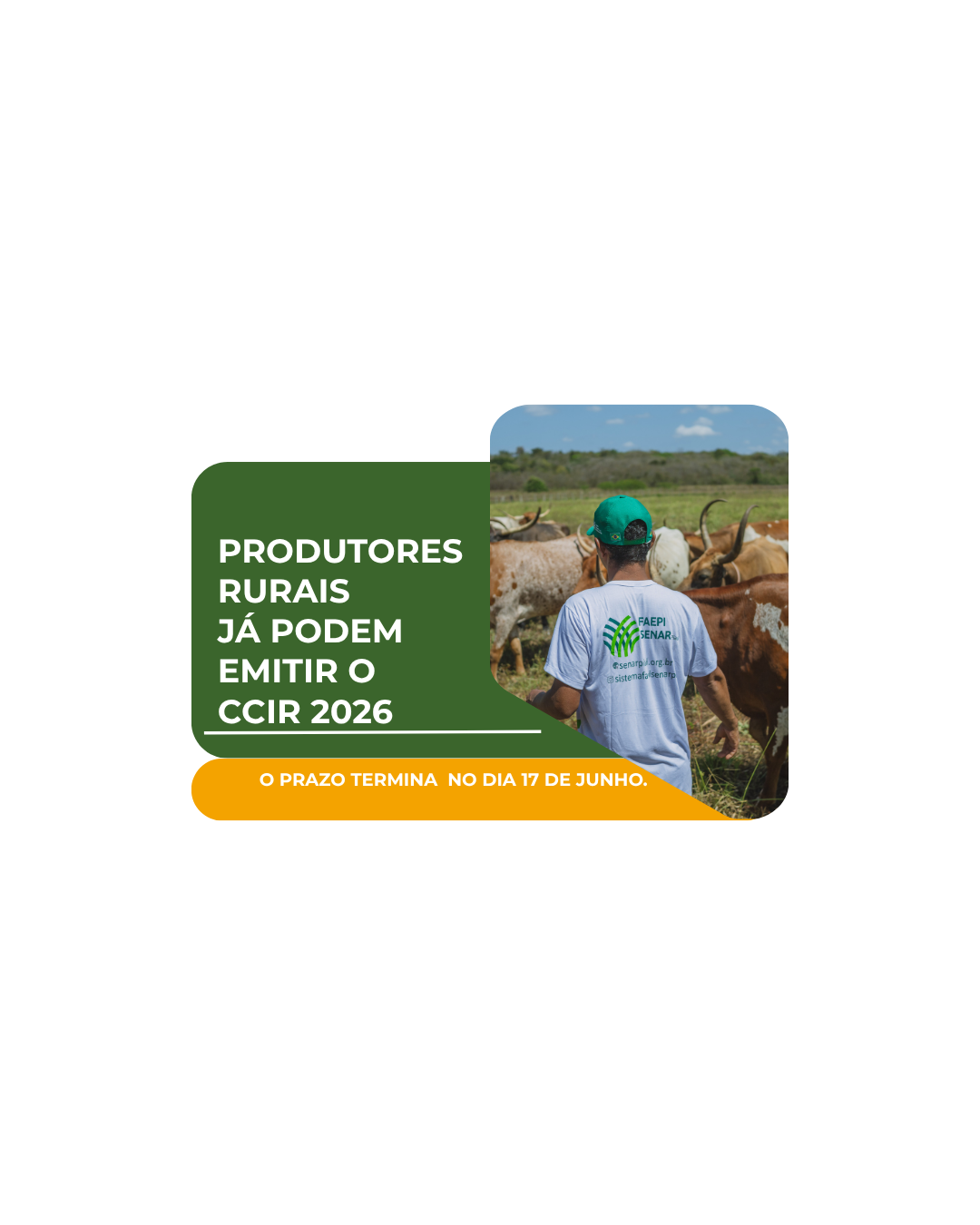 Produtores rurais devem ficar atentos ao prazo para emissão do CCIR 2026