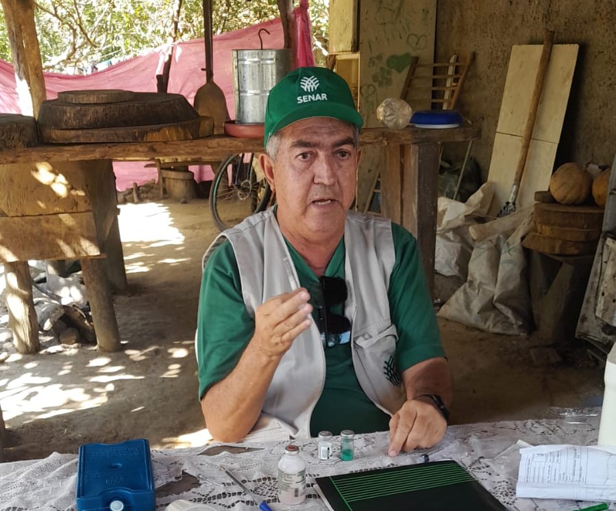 Produtores aprendem na prática sobre criação de galinhas em Palmeirais